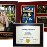 Our Superior Quality LAMINATED PLAQUES are perfect for CERTIFICATES, DIPLOMAS, SPECIAL NEWSPAPER / MAGAZINE ARTICLES, or to COMMEMORATE a SPORTING EVENT or BROADWAY SHOW, using your tickets, photos, playbill covers, etc!